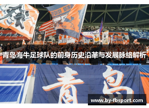 青岛海牛足球队的前身历史沿革与发展脉络解析 青岛海牛足球队的前身历史沿革与发展脉络解析
