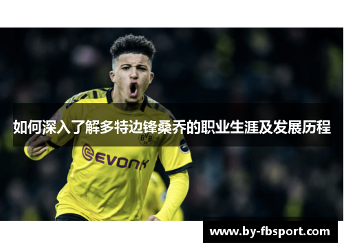 如何深入了解多特边锋桑乔的职业生涯及发展历程