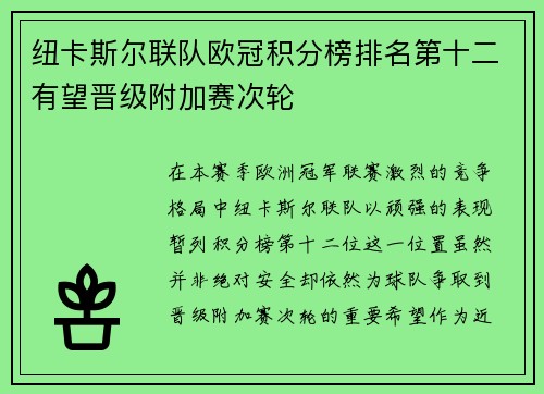 纽卡斯尔联队欧冠积分榜排名第十二有望晋级附加赛次轮 纽卡斯尔联队欧冠积分榜排名第十二有望晋级附加赛次轮